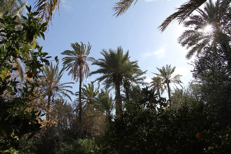 Pensionat Jnane Tamsna Hotell Marrakesh