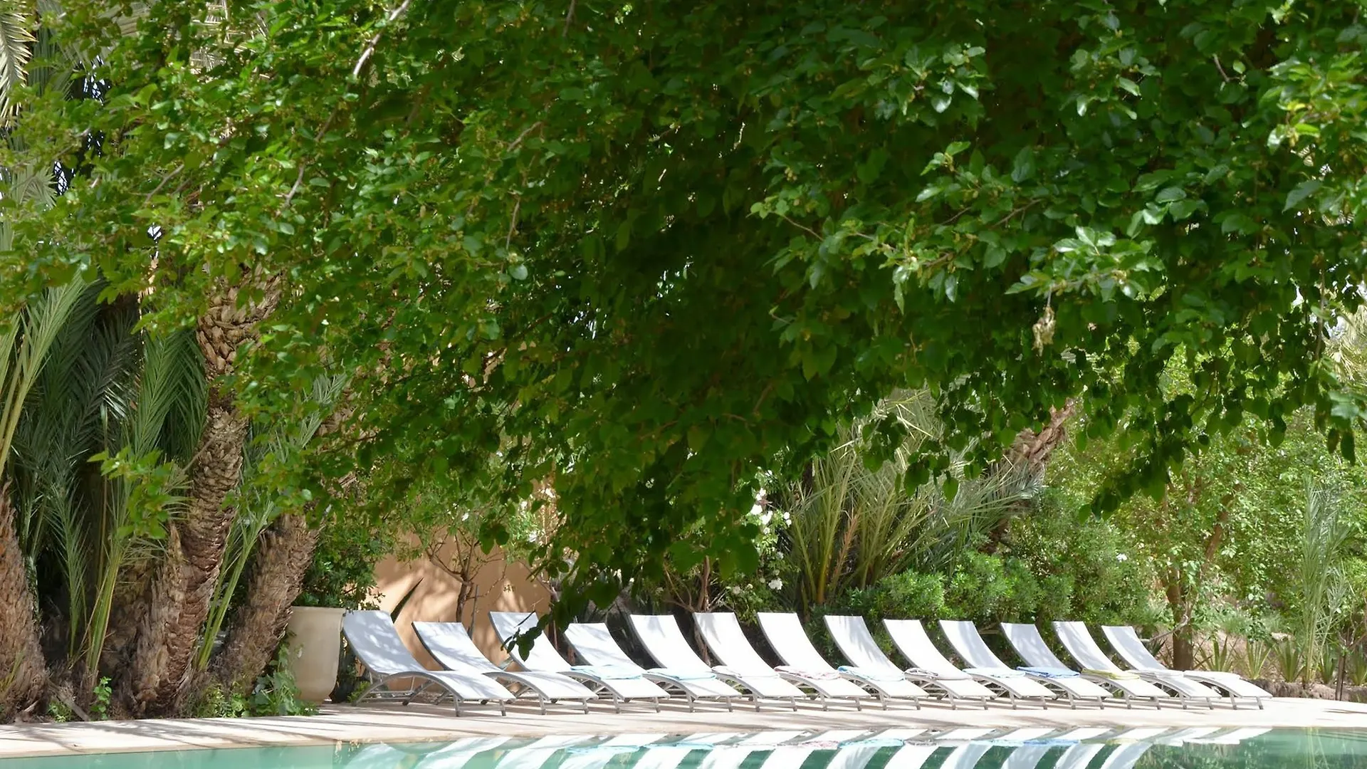 Guest house Jnane Tamsna Hotel Marrakesh