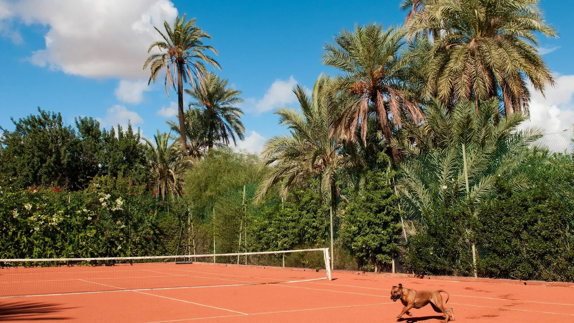 Jnane Tamsna Hotel Marrakesh 3*,  Morocco